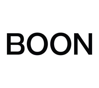 BOON professional logo