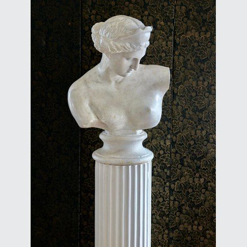 English Mid Century Plaster Bust Of Venus Of Capua