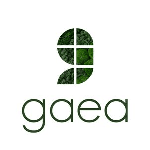 Gaea professional logo