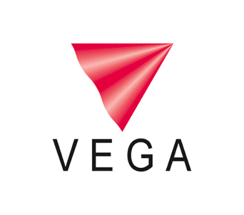 VEGA Global professional logo