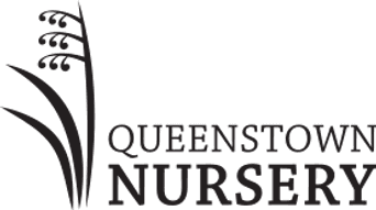 Queenstown Nursery