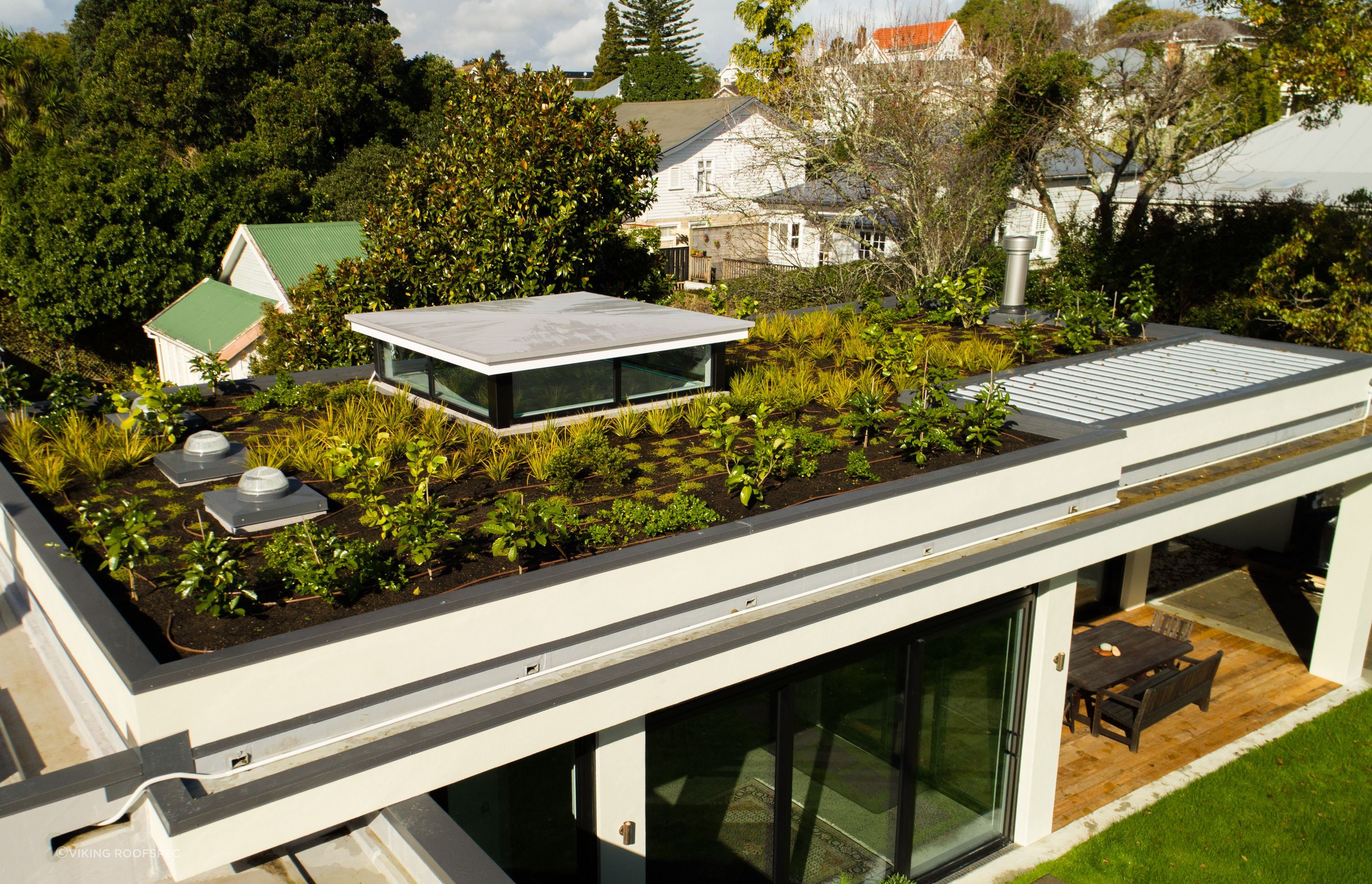 The Viking Roof Garden system drastically transformed this extension's roof and the home's overall aesthetic.