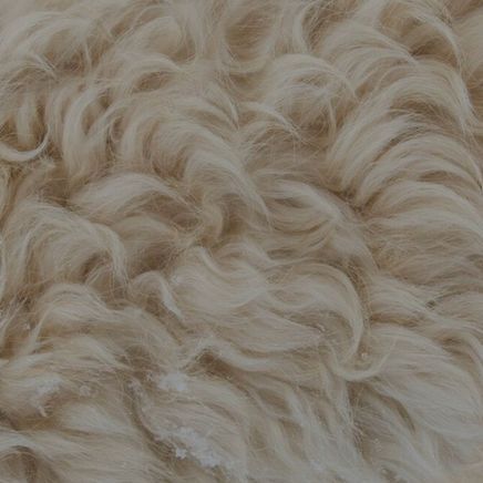 Discover the health benefits of Wool Insulation