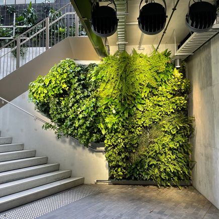 The green tech changing our urban landscape: how to use it in your project