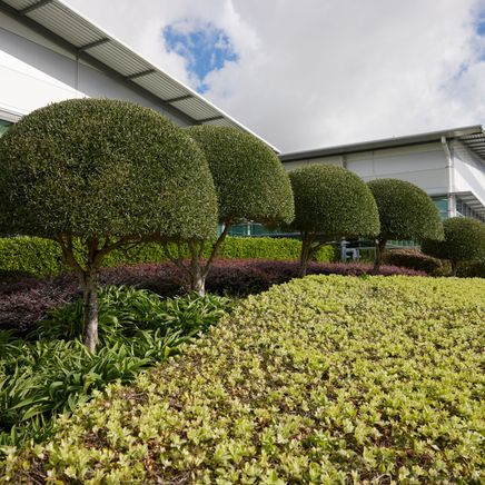 Why a landscaping maintenance subscription is crucial for commercial properties to maintain brand identity