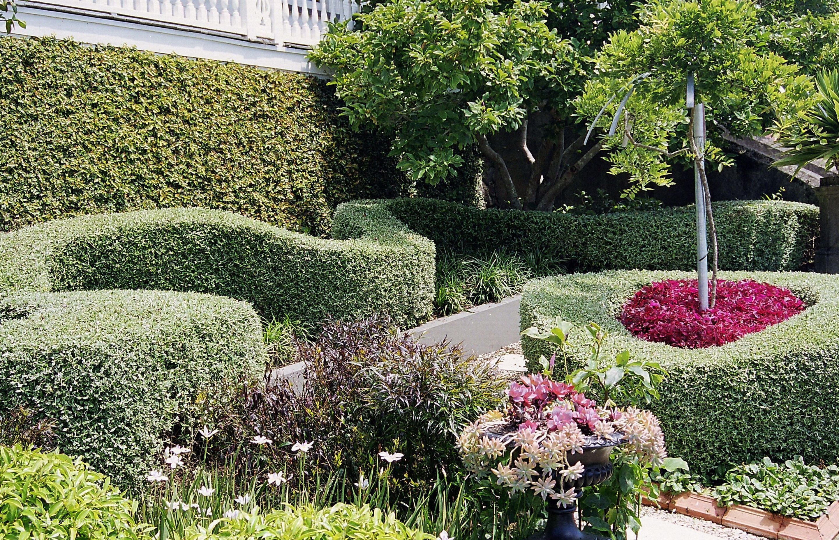 Hedges create visual interest in this modern structured garden.