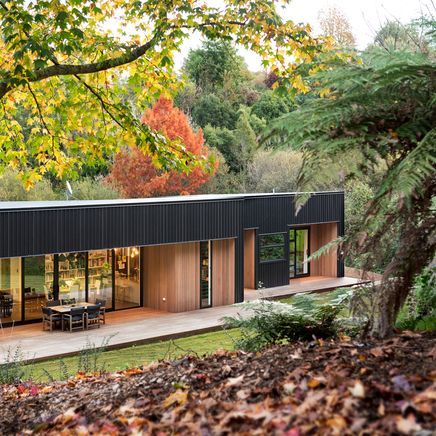 The pros and cons of metal cladding for New Zealand homes