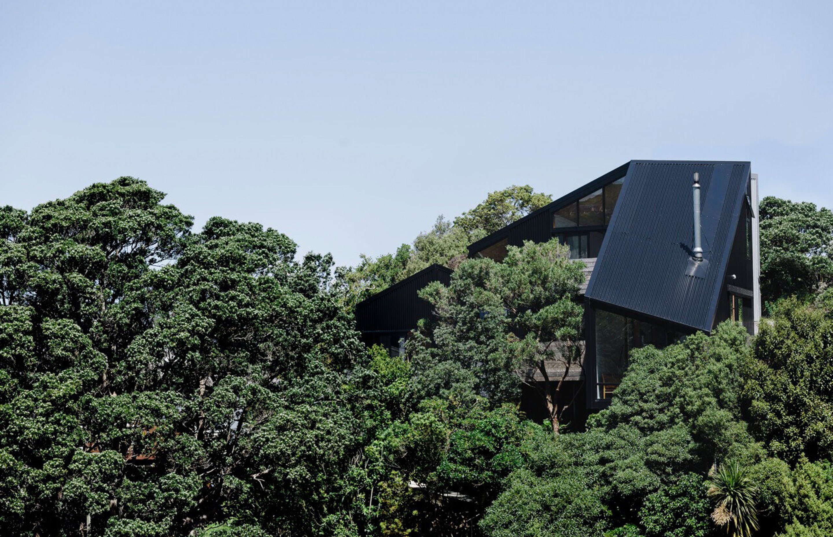A home set amongst native trees on a steep site with challenging access, Stealth Bomber was designed by Patchwork Architecture and built by Dorset Construction.
