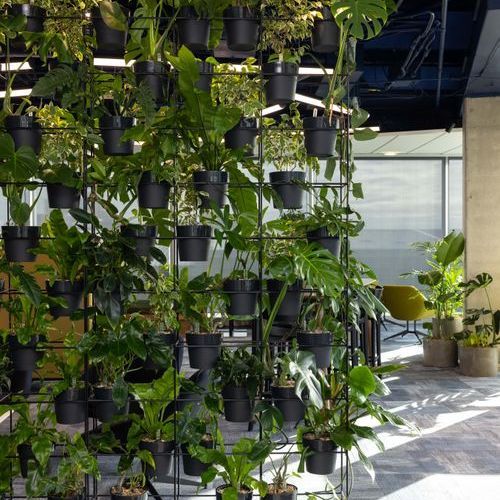 Stacked Plant Systems | GreenAir