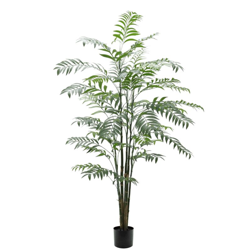Delux Bamboo Palm Potted 1.8M
