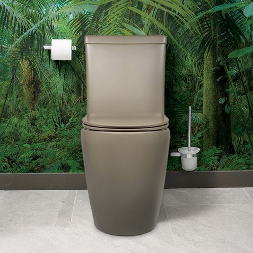 Grande Back to Wall Toilet Suite - Cashmere