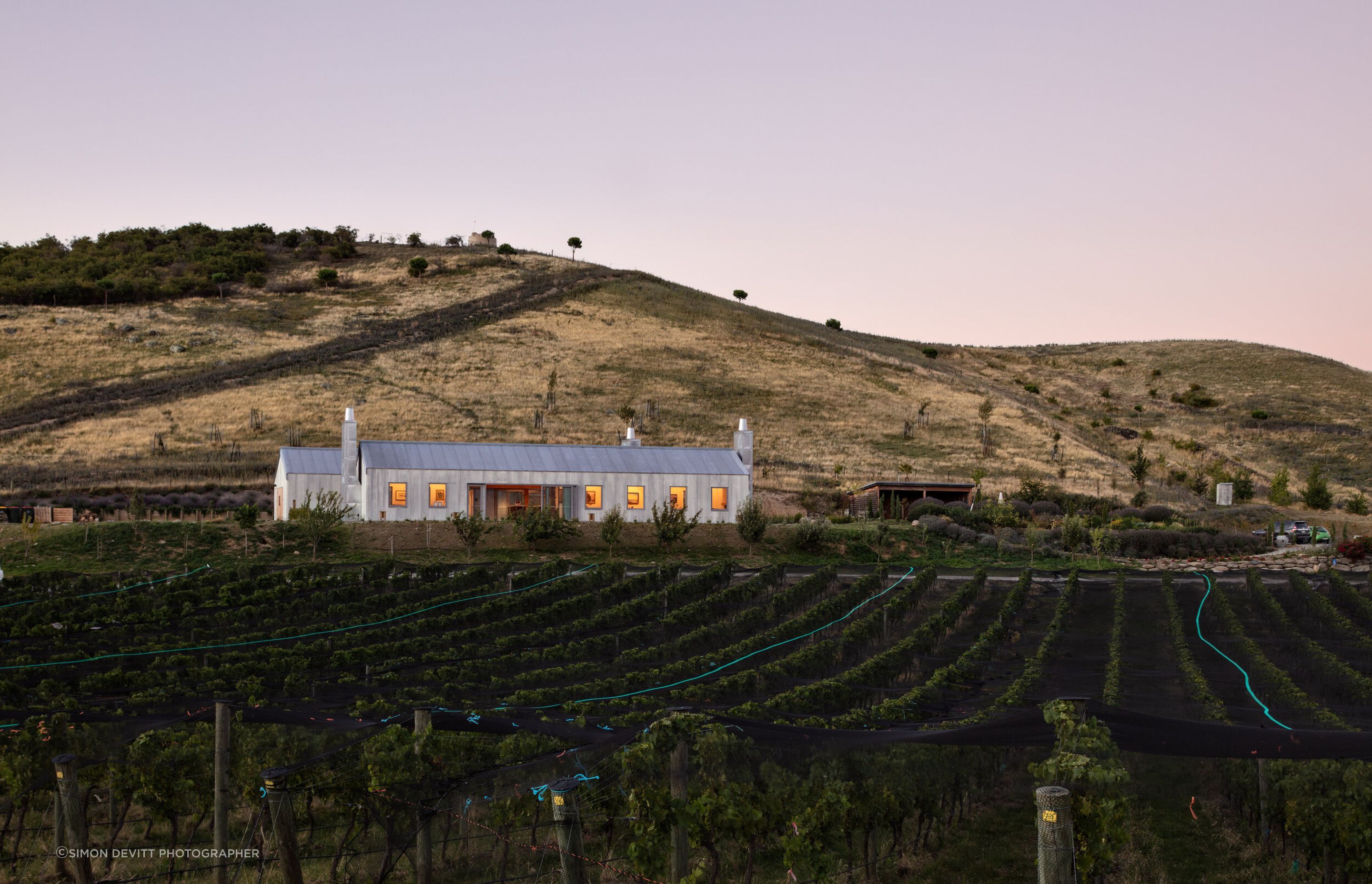 The Domaine Thomson Cellar Door buildings nestle into the hills overlooking the vineyard's pinot noir grapes and Lake Dunstan in Cromwell.