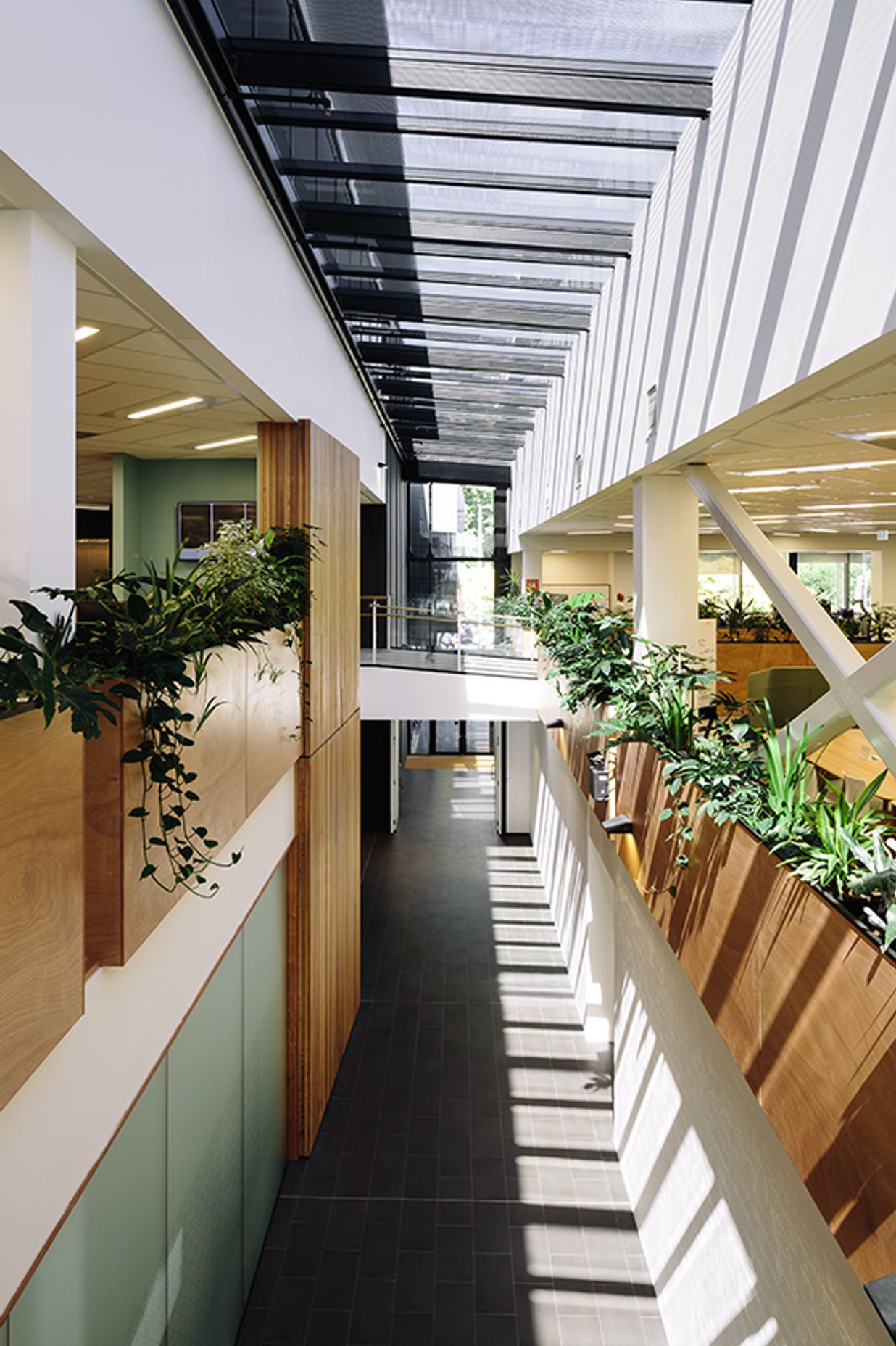 A linear atrium, slicing through the old and the new building floor plates, creates connections between floors and maximises the penetration of natural light.