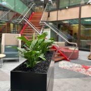Long Term Plant Hire - Indoor gallery detail image