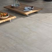 Prowalk Tile by Ascot gallery detail image