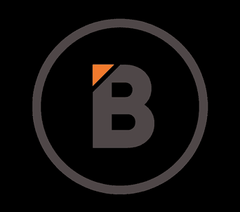 Blackbird Projects company logo