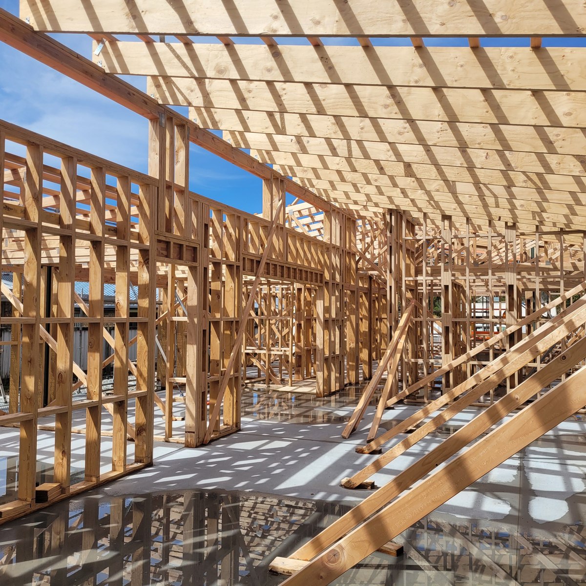 The framing built for New Zealand’s toughest conditions