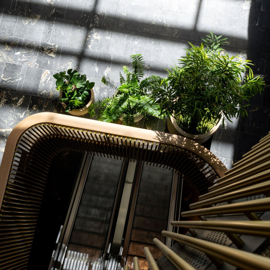 Plants pay: The commercial case for greening your space
